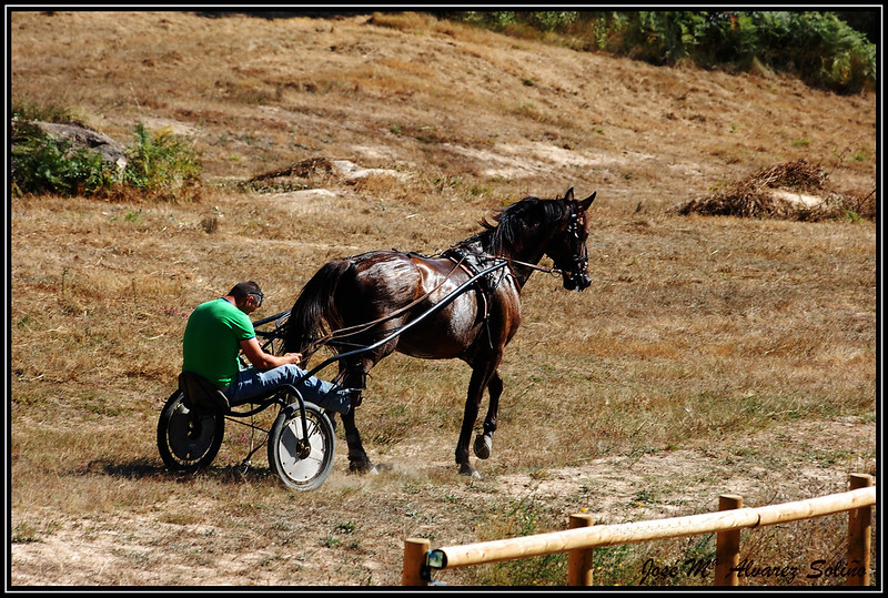 green-man-horse.jpg