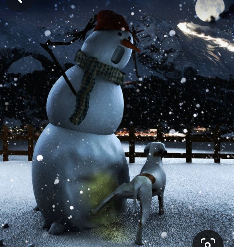 Screenshot_20231211_180916_Pinterest