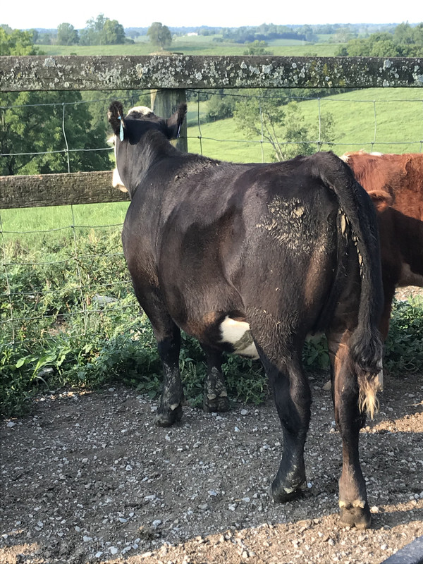 584E14C2-6802-4D2F-A096-E4D358D4D769