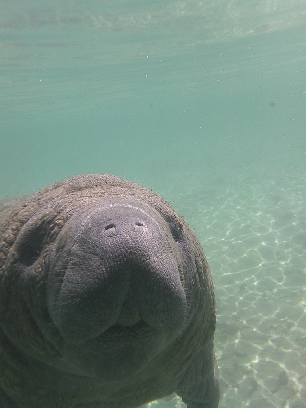 affea6b9-bc34-44aa-a37a-0e6ea612a5fc