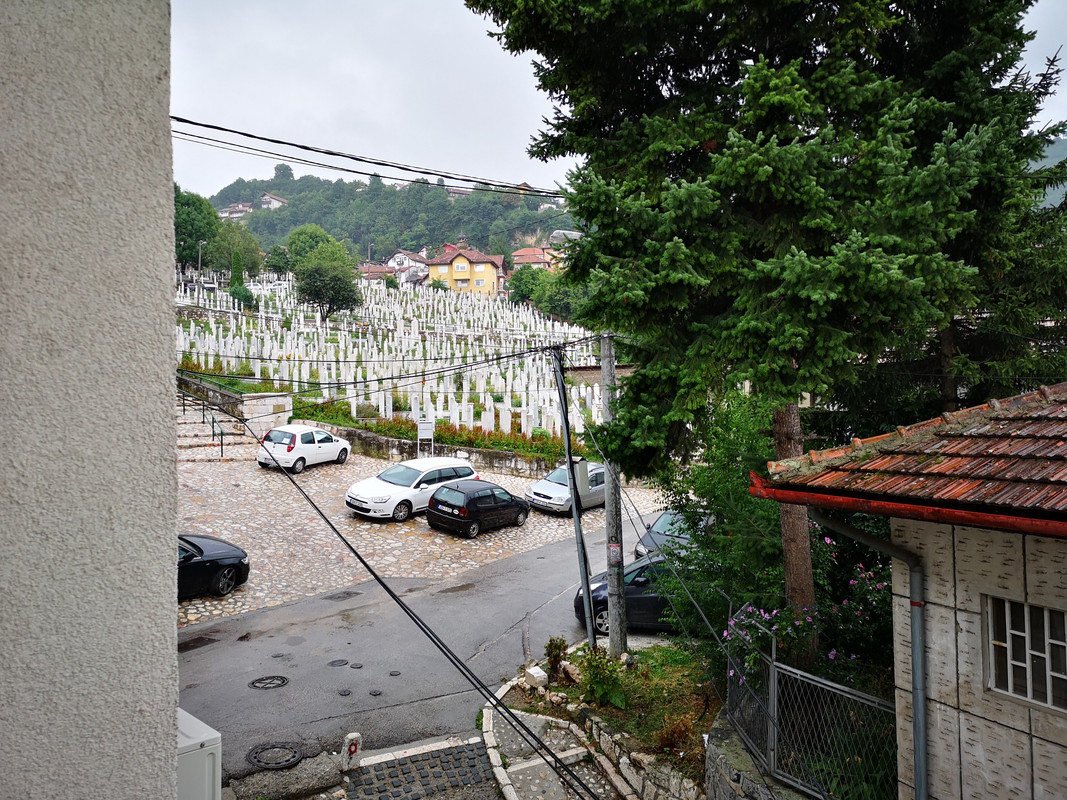 [Obrazek: IMG-20190803-082022.jpg]