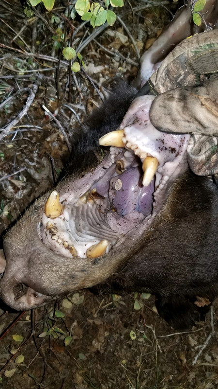 DD8AE5A3-13F0-409B-8E07-E1B4F95CAFF6