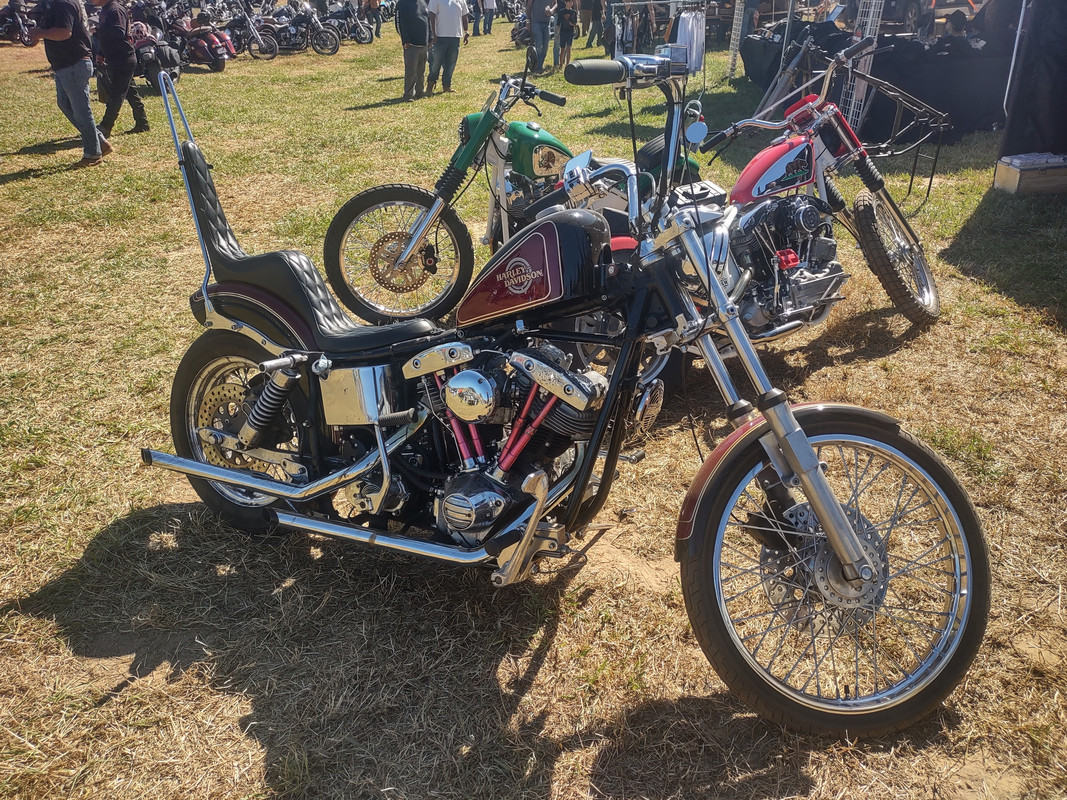 IMG_20241019_123035950_HDR