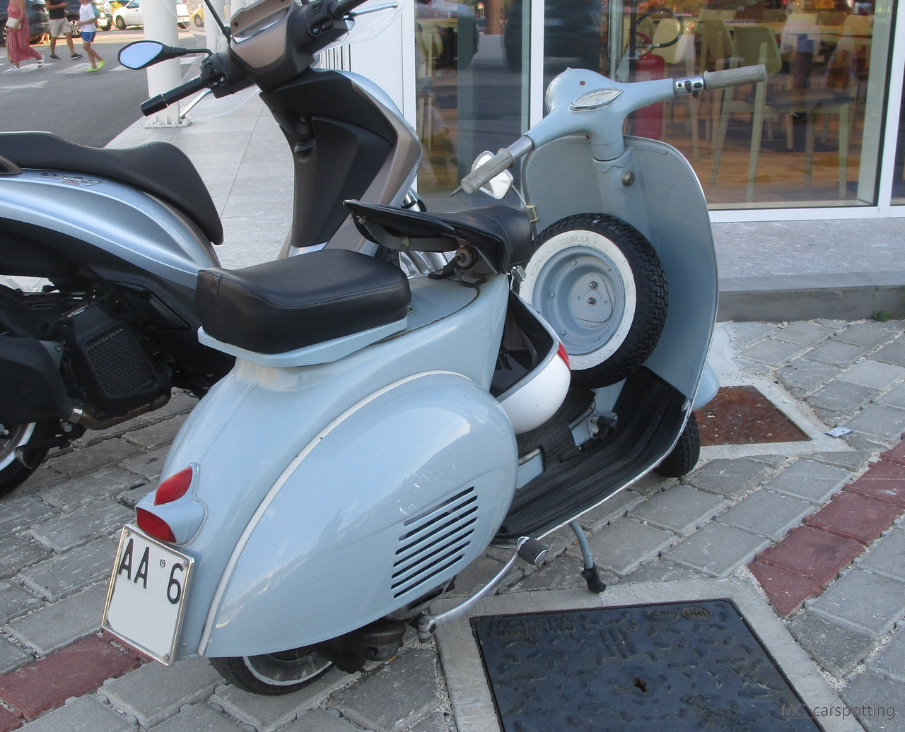 IMG-8728.jpg