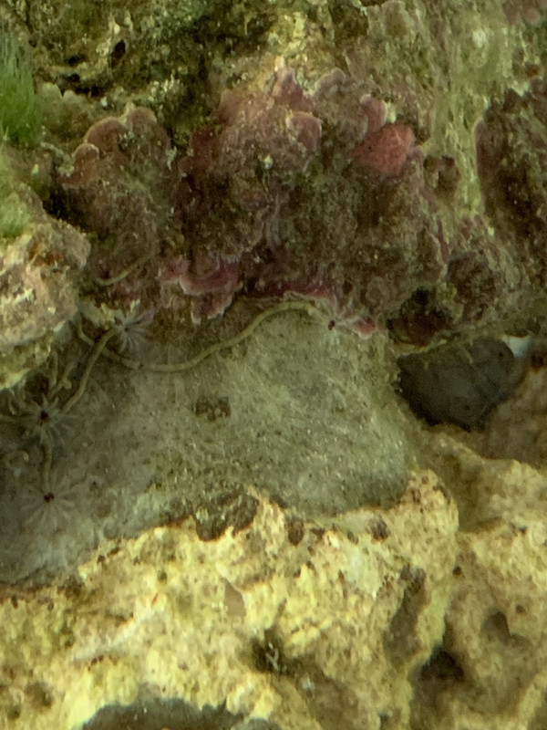 9AA5140C-D1F9-4506-8B38-BE60EAC4574B