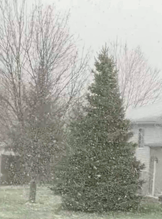 snow-20200421-1-small.gif