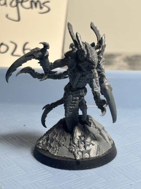 Tyranids Raveners 21