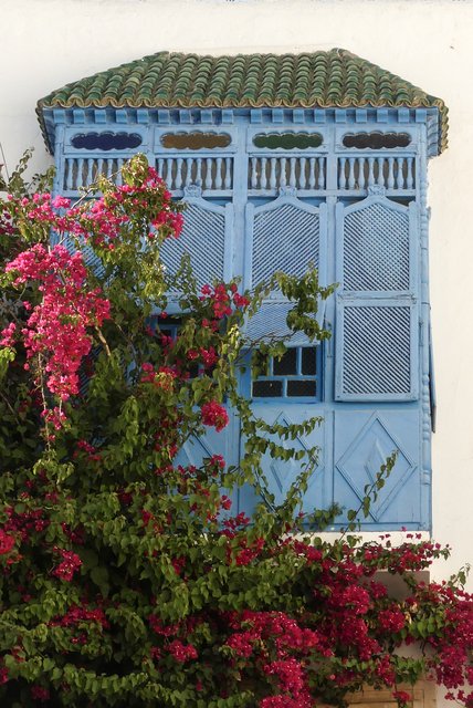 Una semana en Túnez por libre - Blogs de Tunez - Cartago y Sidi Bou Said (15)