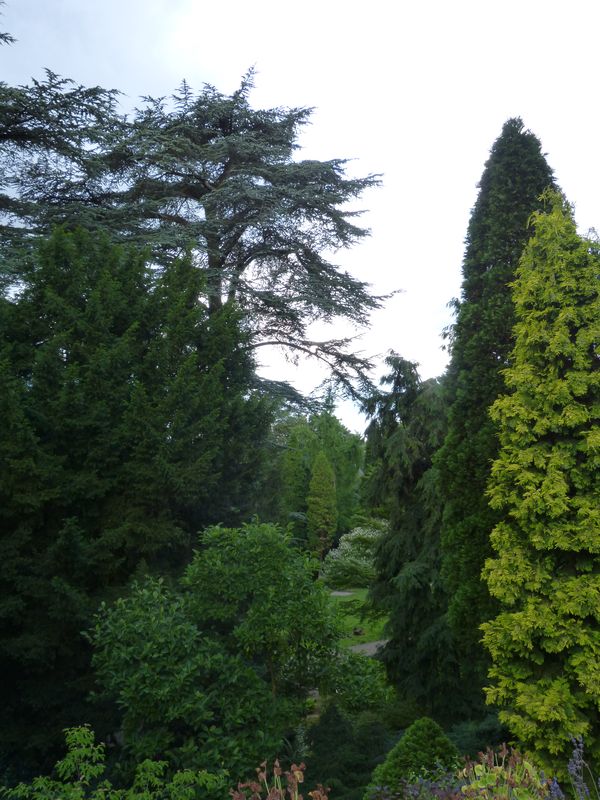 2014-07-13 Arboretum Härle 53