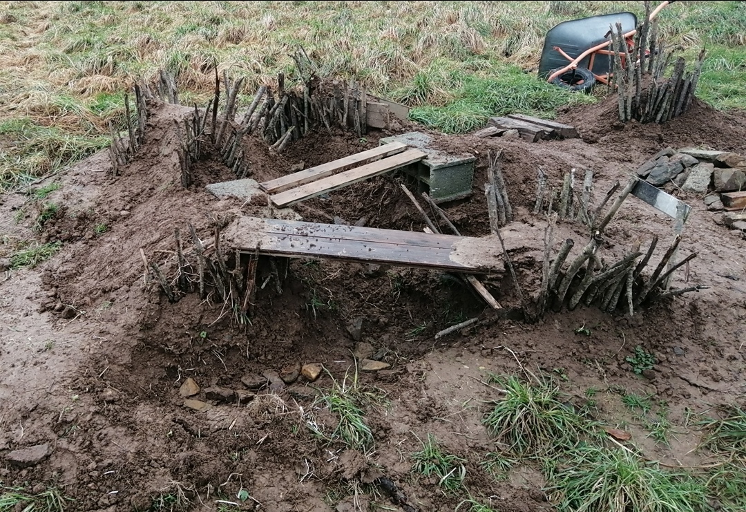 Screenshot_20240123_214255_com.android.gallery3d_edit_181464439446788