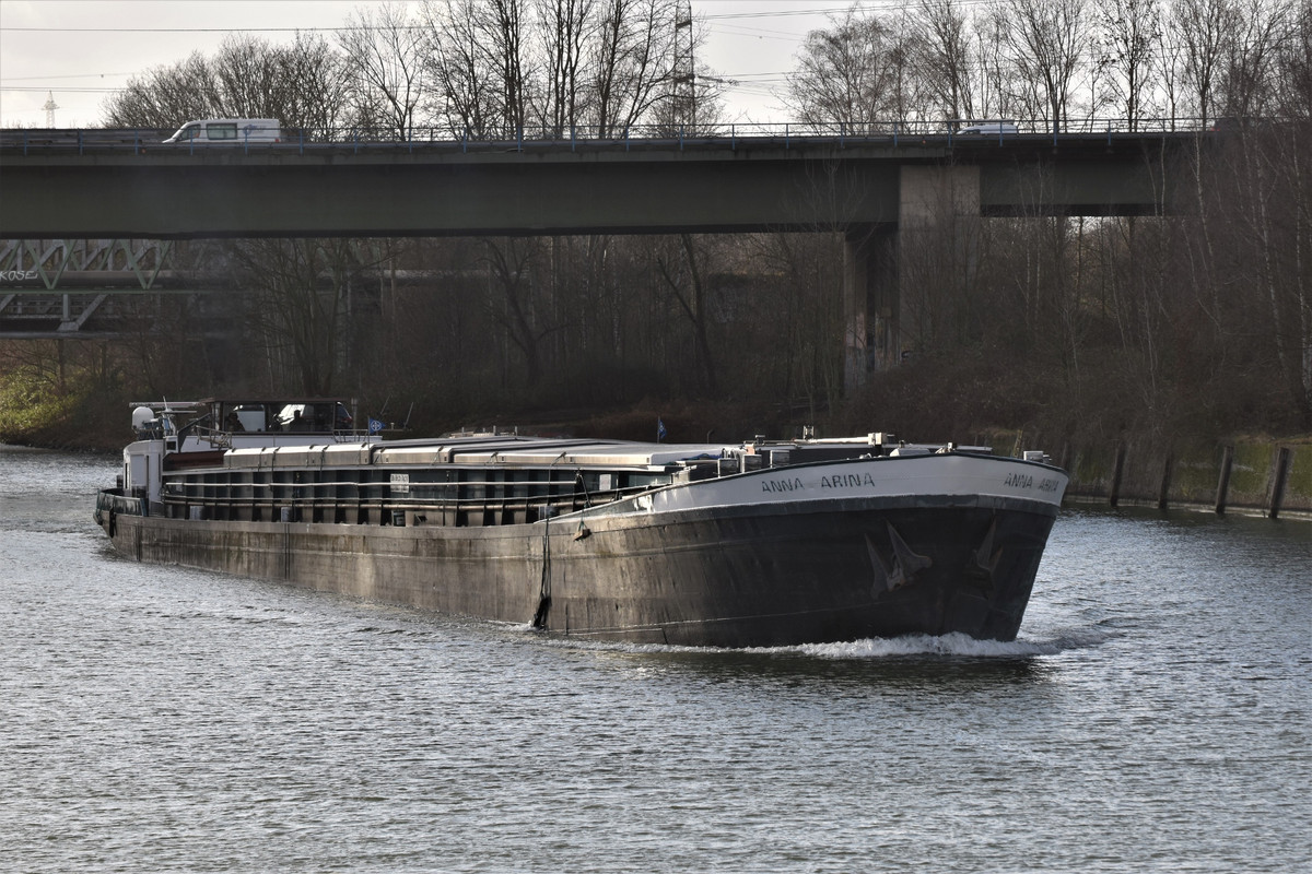 2022.02.07a2 Anna Arina (1940x1293)