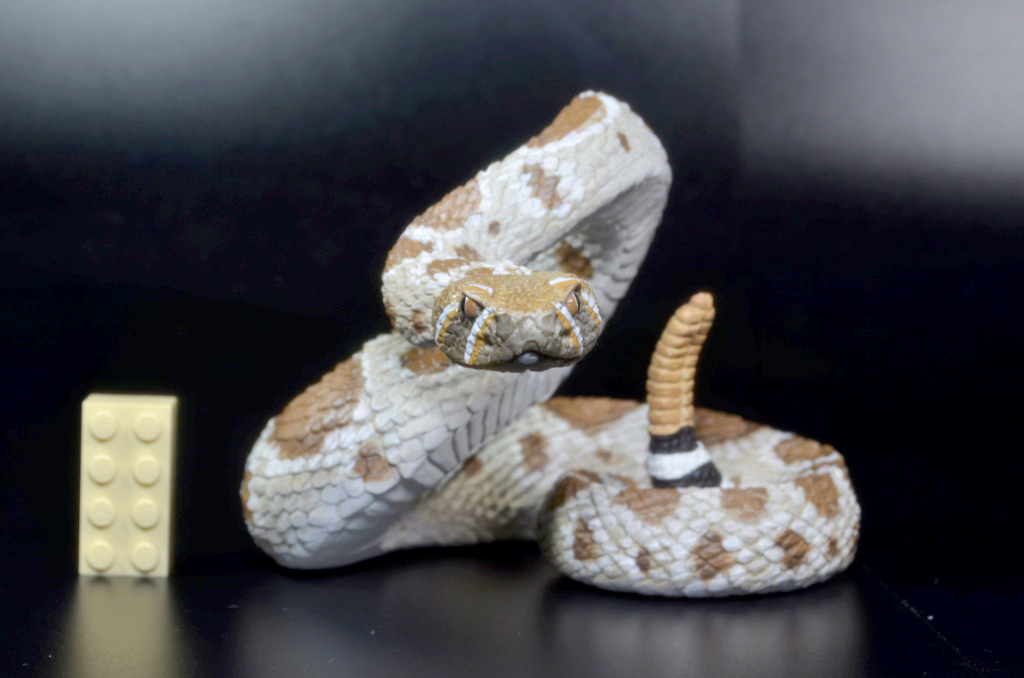 2023 Woodland Figure of the Year: the Final pick ! Safari-IC-westerndiamondback-rattlesnake-jolie1