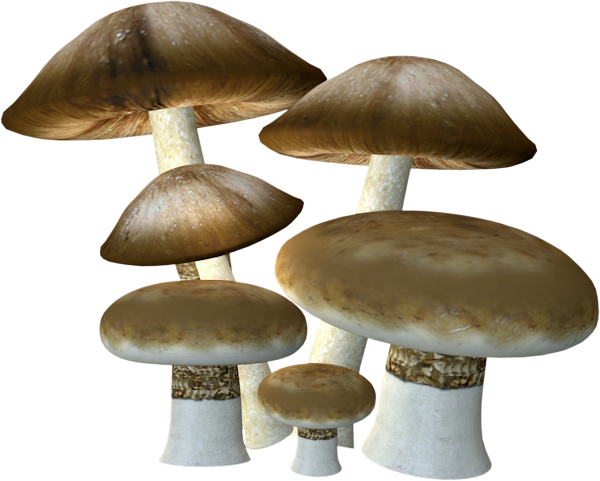 Alice In Wonderland (159)
