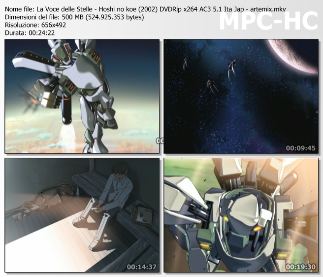 Hoshi no koe screen