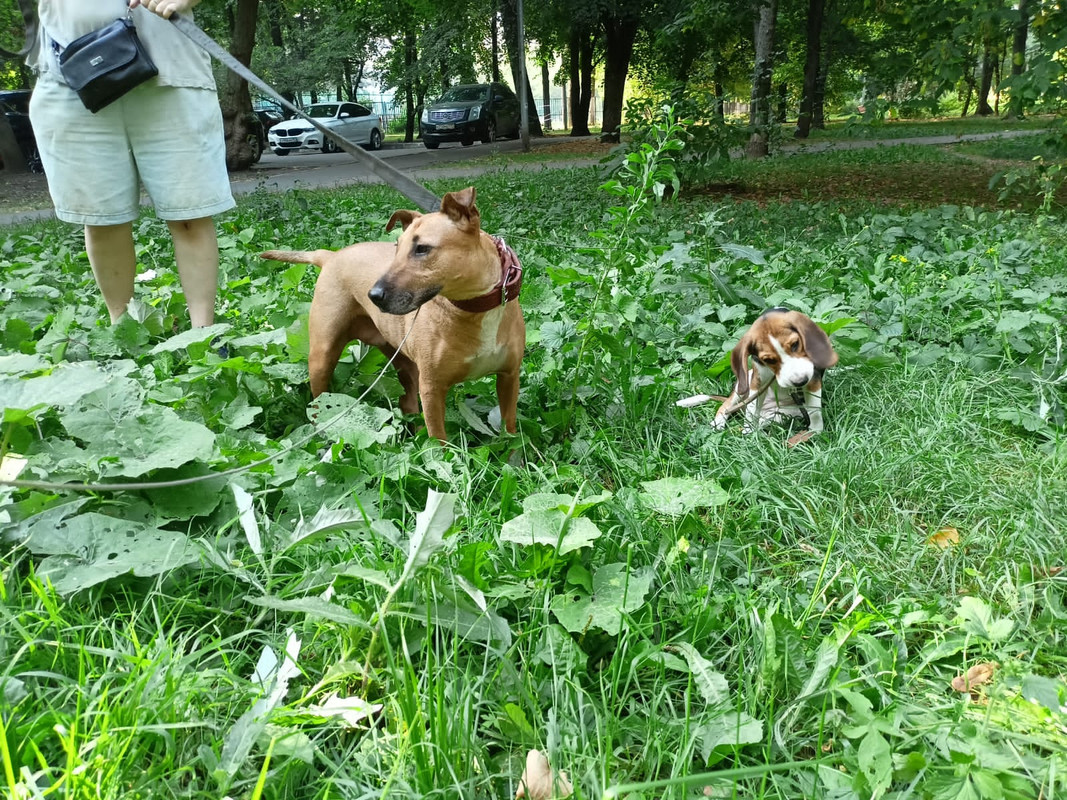 4CDA8F52-0514-4372-8358-4DD4969A666A