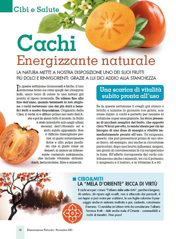 Alim Nat Nov 2021 (5)