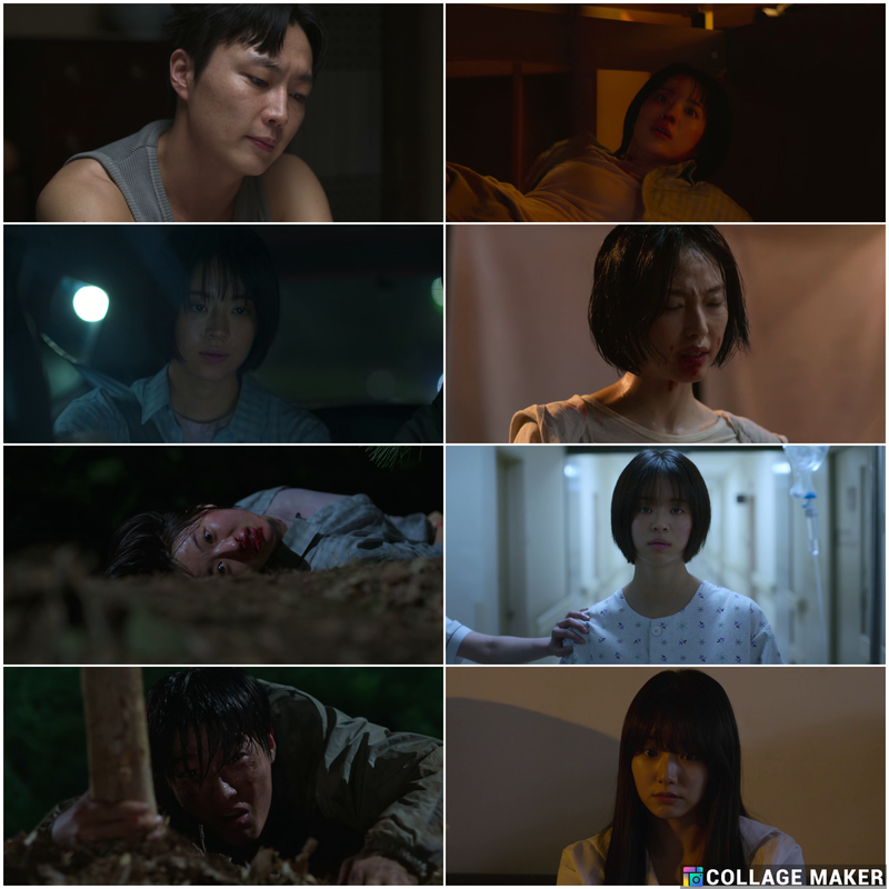 moviedokan