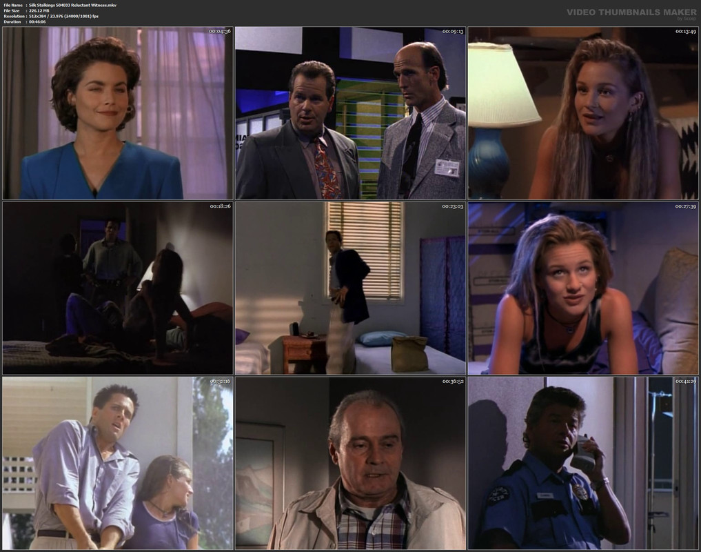 Silk Stalkings S04E03 Reluctant Witness.mkv