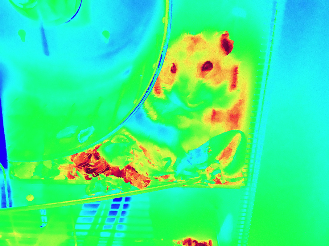 869D38BE-919D-46C8-AE8E-E344FBA5CA83