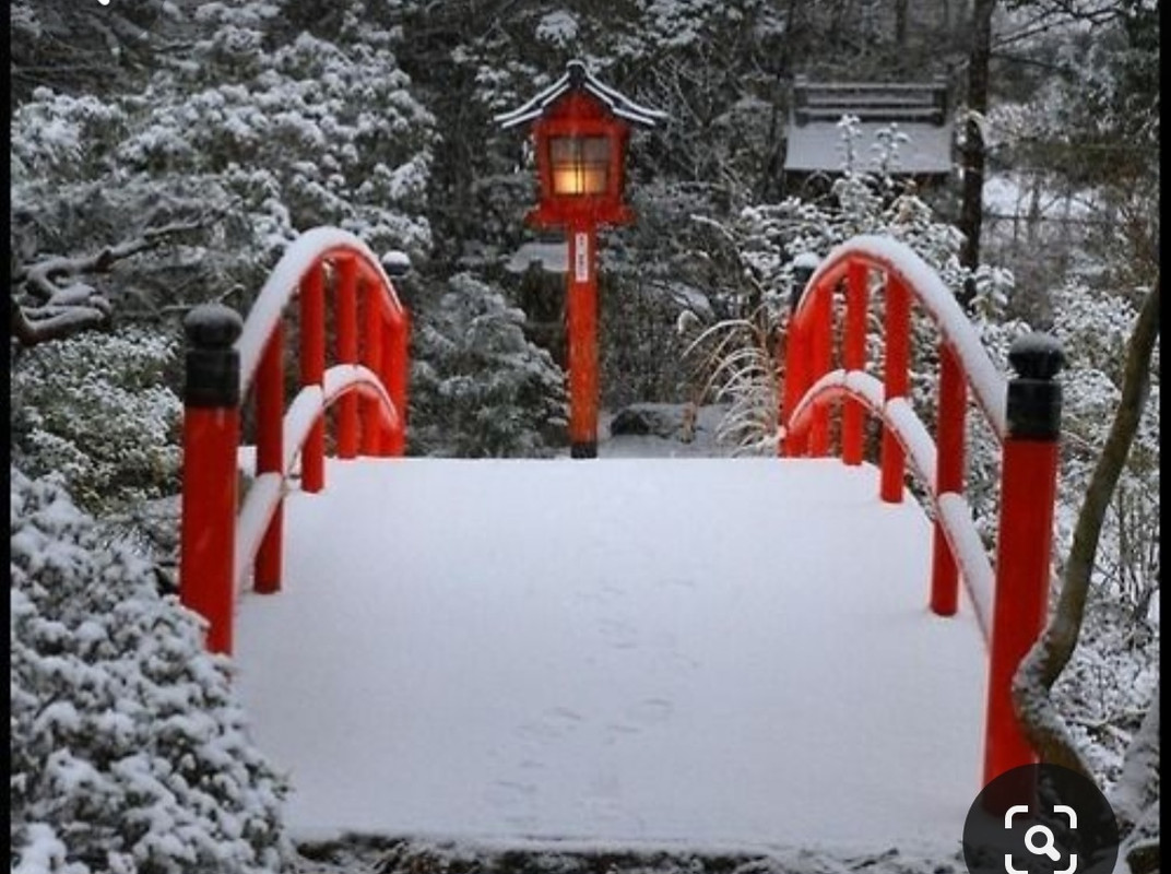 Screenshot_20231224_213817_Pinterest