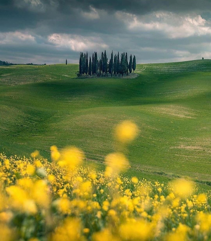 Screenshot_20240505_224919_Threads