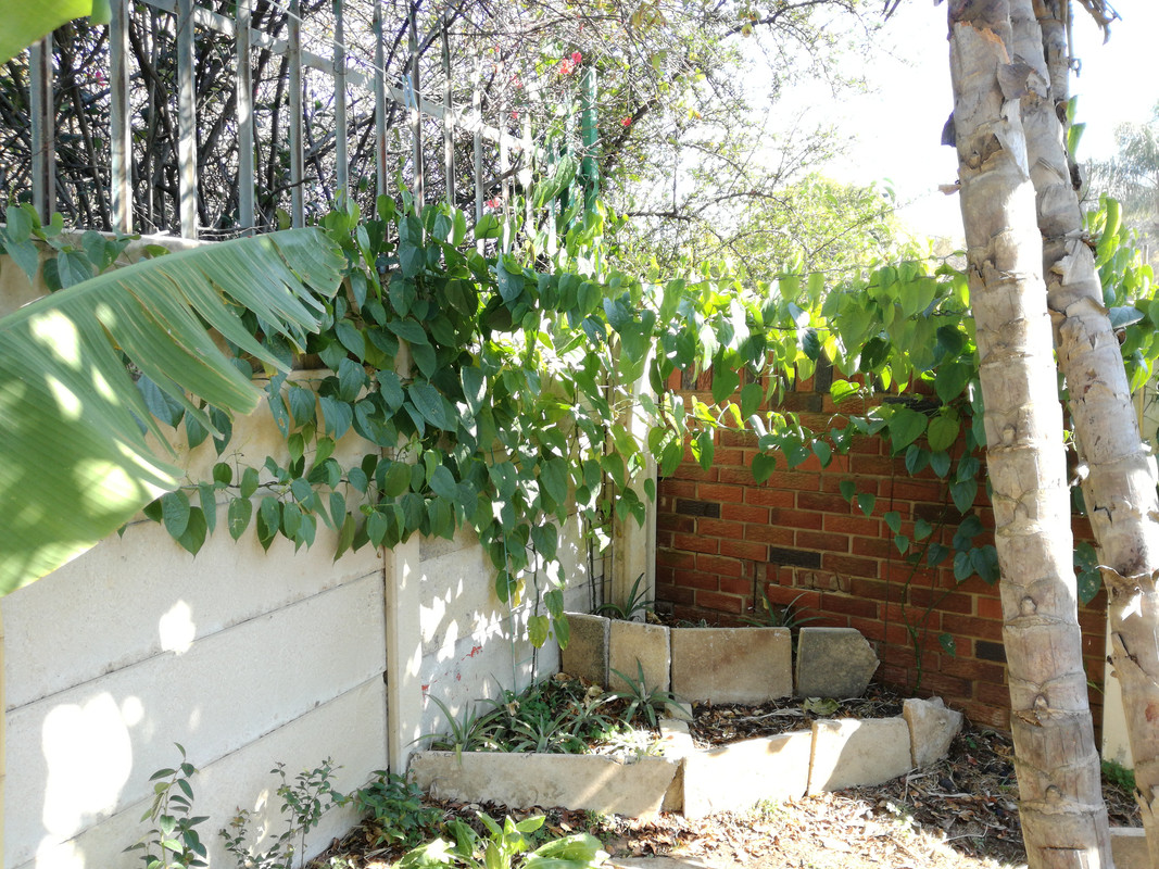 1496483814890-1369278493