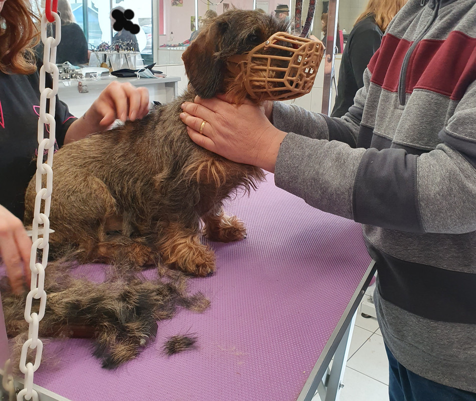 [Image: 20210205-142953.jpg]