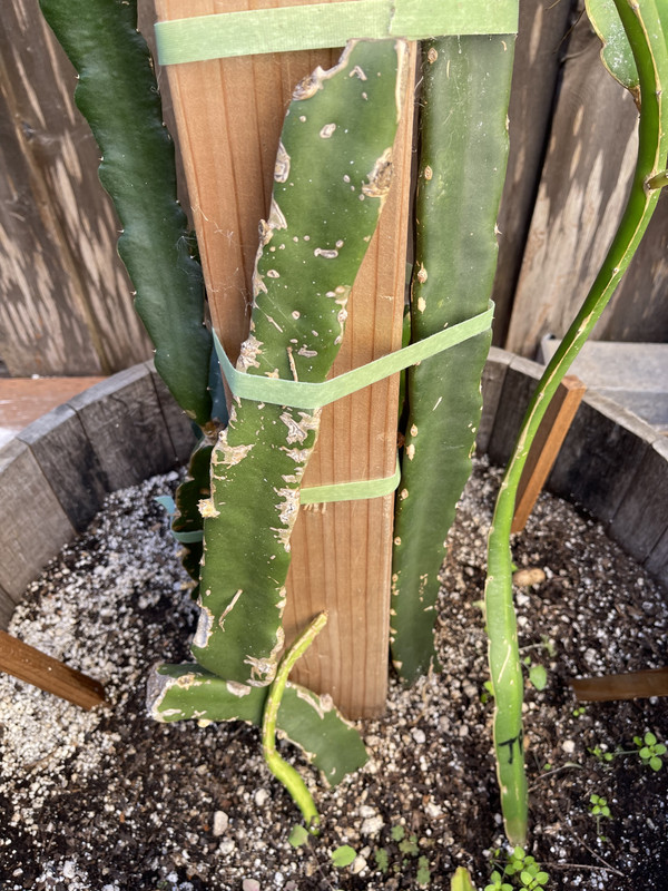 AA1D447A-371A-4D45-9C18-3E813D857B9D