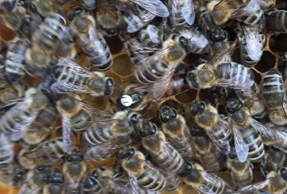 7EE9FE96-7C11-4D8C-A0AF-E5D2D6A89B17