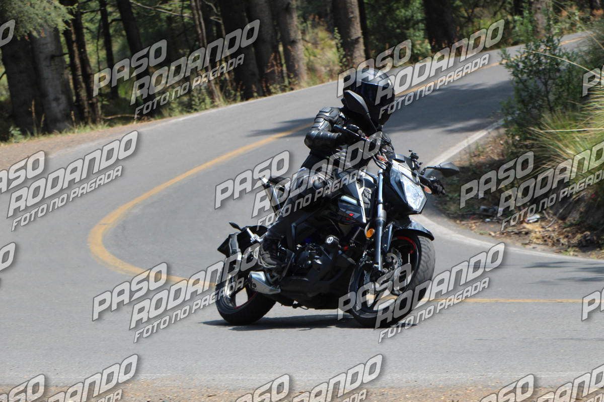 IMG 0529 wm 315171 1000000001 watermarked — Postimages