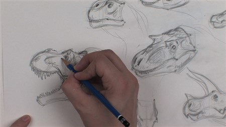 Dinosaur Drawing Anatomy and Sketching with David Krentz