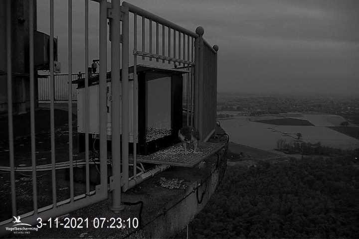 campics vanaf 1 juli © VWGGemert en bonusjes van ter plekke - Pagina 39 1
