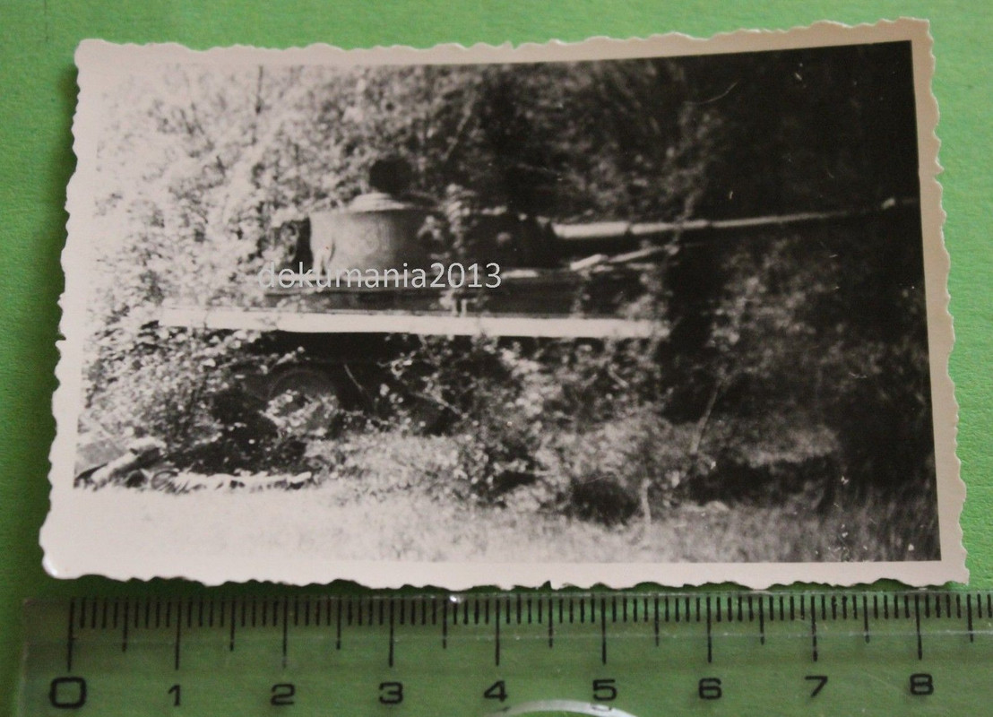 Panzer Tiger I im Gebüsch - Kennung 331