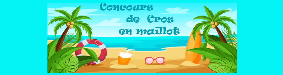 https://i.postimg.cc/Y0XXgVrs/ban-concour-plage.png