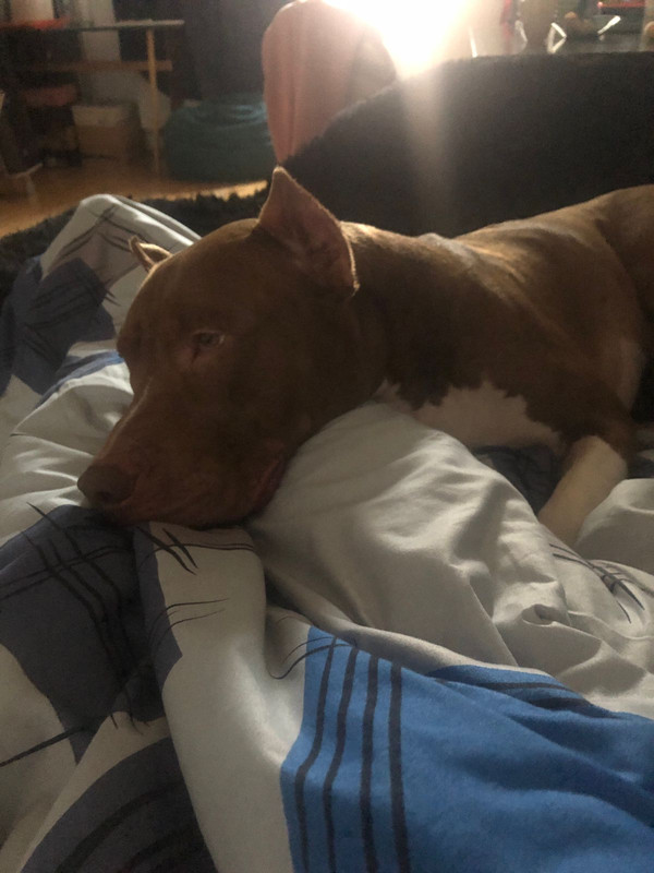 02D08BDF-4687-42BF-9373-AAA15F933757