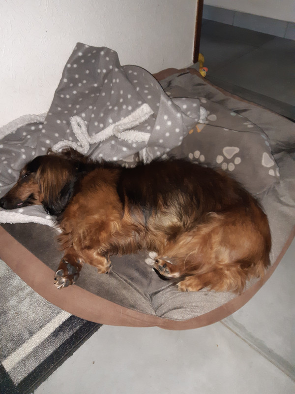 [Image: 20211201-153952.jpg]