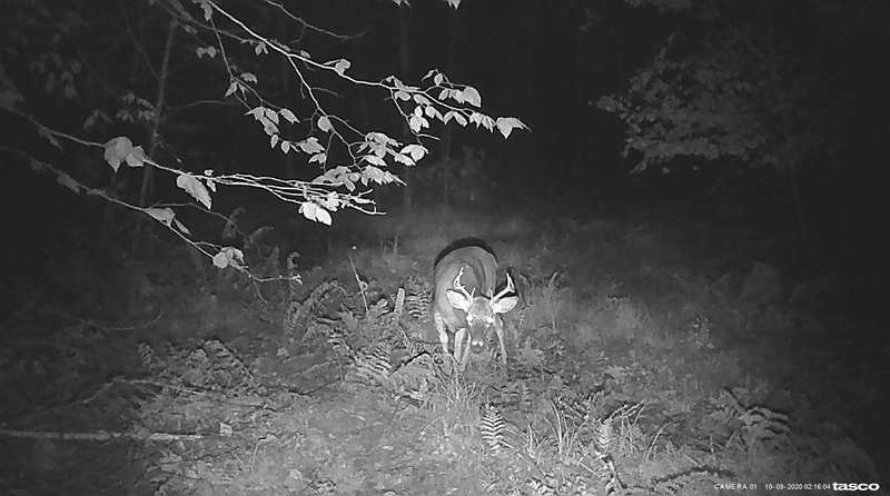 4E19B3B9-0C6E-49E2-BB60-6700926609A8