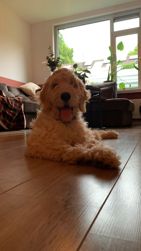 947FF14B-CF99-4AEB-8A61-DFA6542D41BF