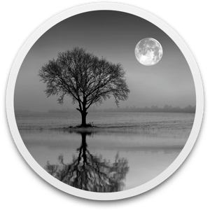 Reflect Studio v3.1 macOS Reflect Studio v3.1 macOS