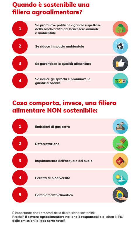 Filiera agroalimentare sostenibile per un futuro più green