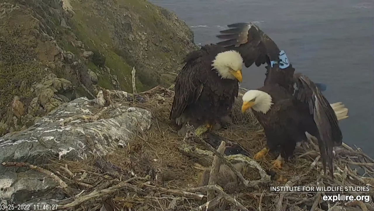 AE84C92C-E053-4F5D-86C2-E994C2EBF678