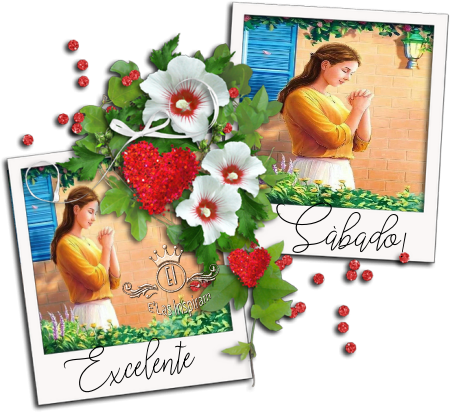 TEXTO559-MB-maryluz.png
