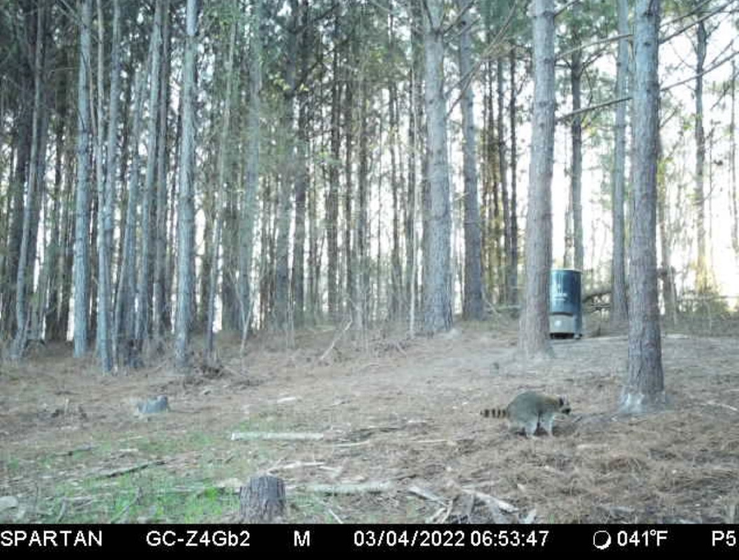 7847F297-4761-46D5-A9F5-AE906EE45519