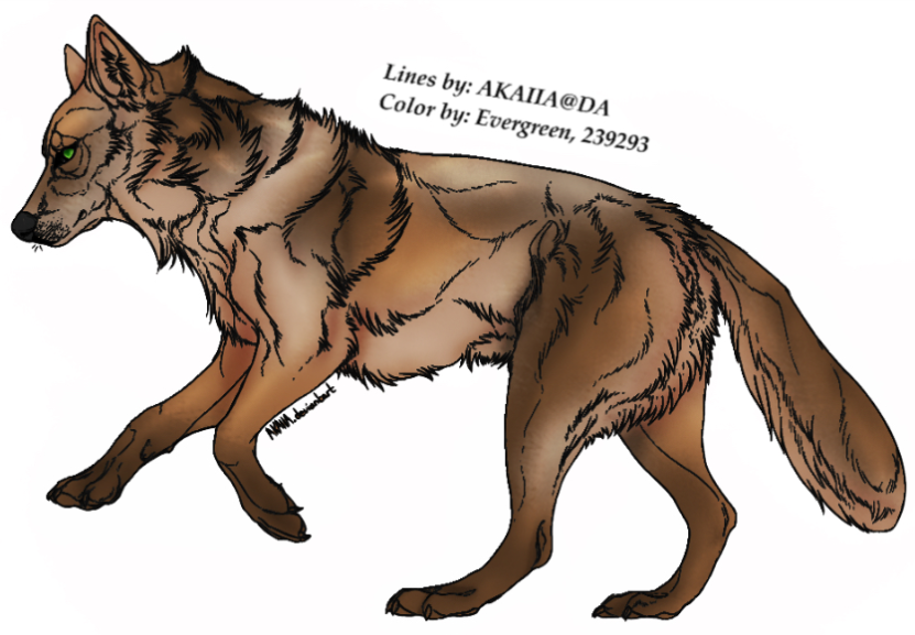40677805-d7-Mnr-WAJ7-PF9p-La.png