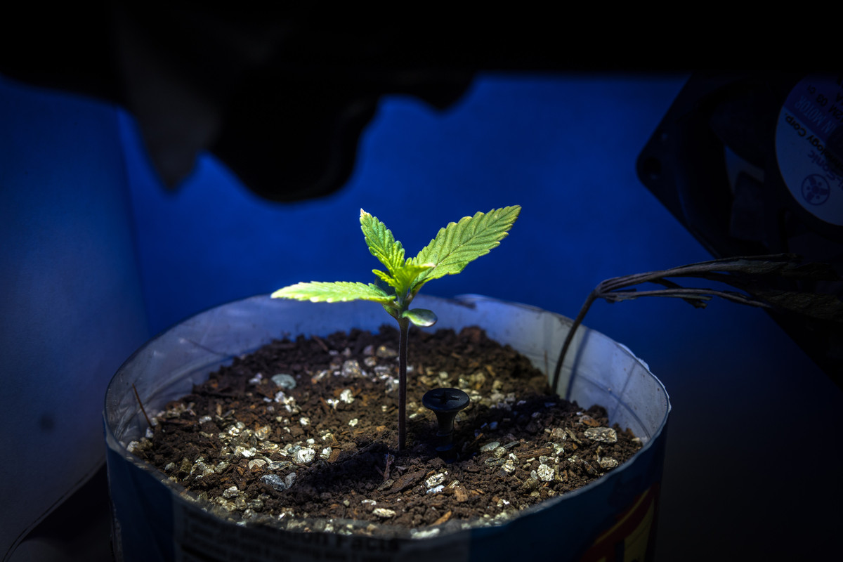 seguimientoindoor1.01 (8 de 13)