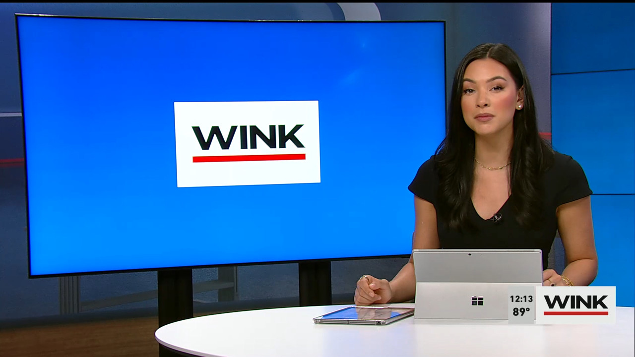 05.19 - 17.00.00 - The WINK Noon News. Midday news update..ts_snapshot_19.03.167