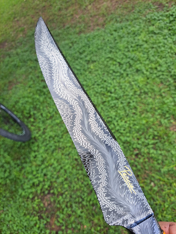 WhatsApp Image 2025-03-12 at 16.42.21 (2)