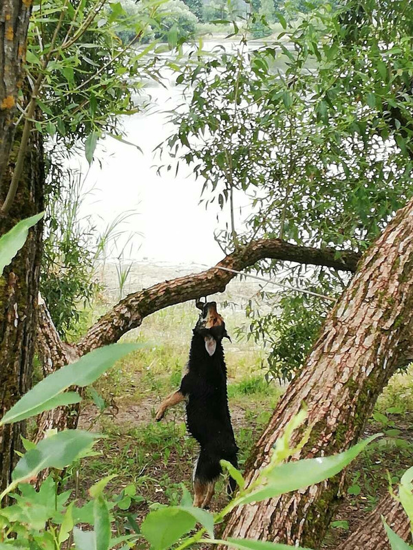 4D06E052-B804-4F16-B91C-9D530610D2EA