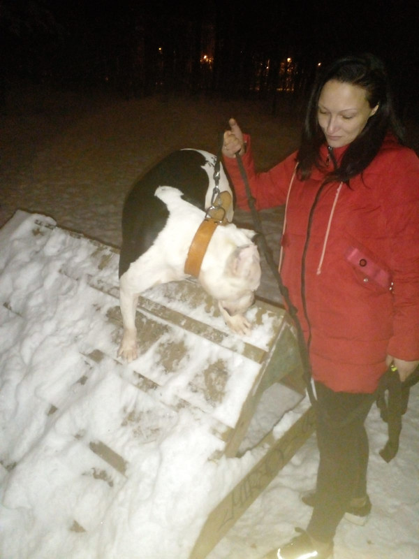 1C2F3159-1DCE-47D3-B49F-0C013504C5E4