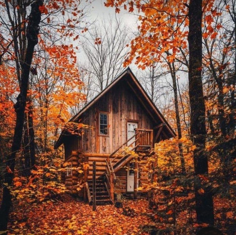 Screenshot_20231127_223823_Pinterest